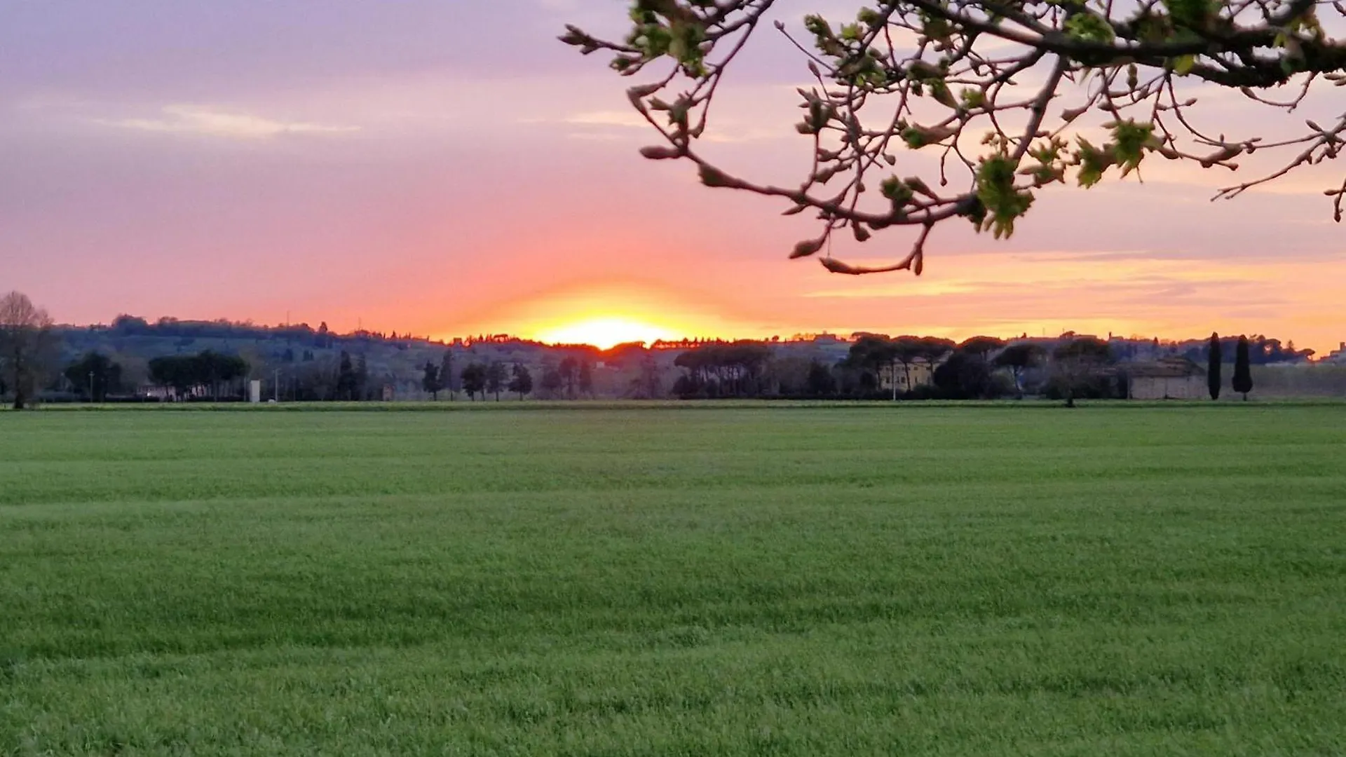 Appartamento La Casa Del Borgo Peccioli