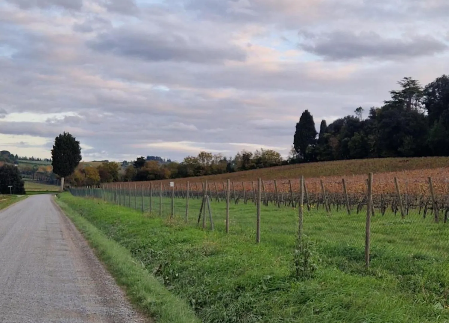 Appartamento La Casa Del Borgo Peccioli